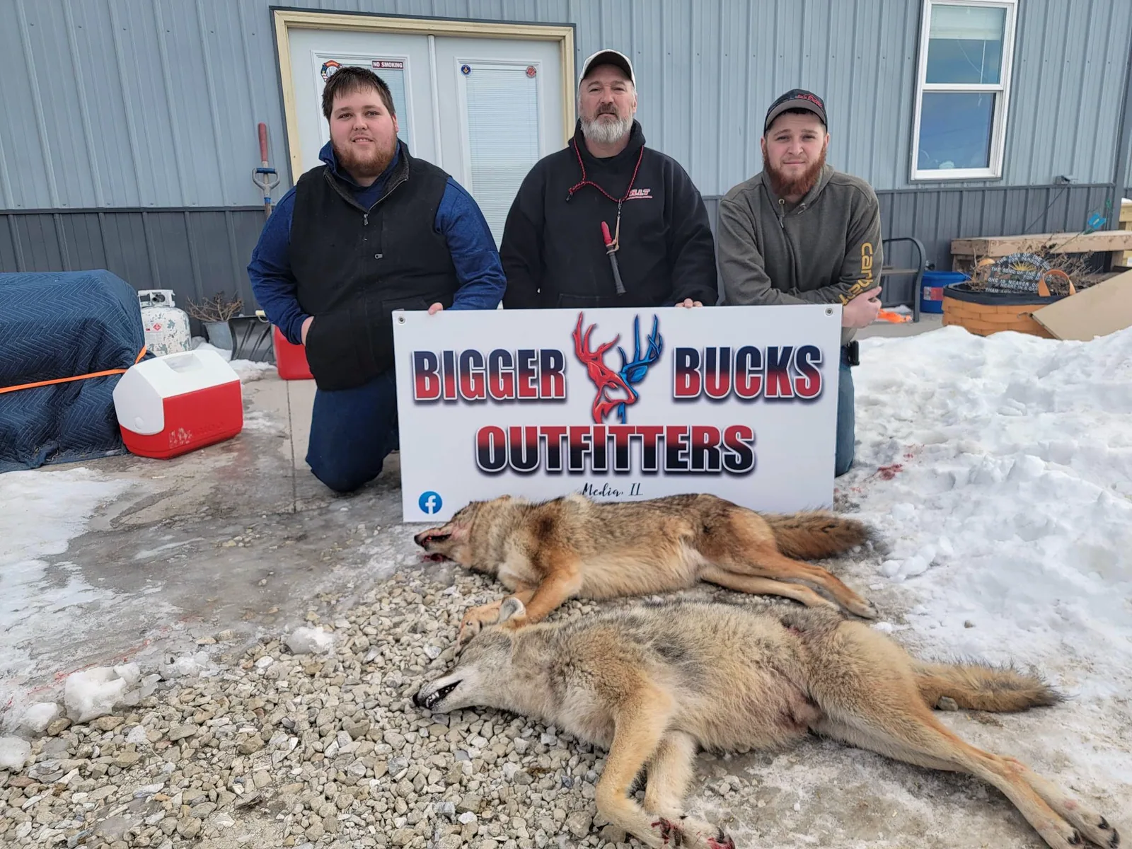 Hunters with coyotes taken on a winter predator hunt at Bigger Bucks Outfitters